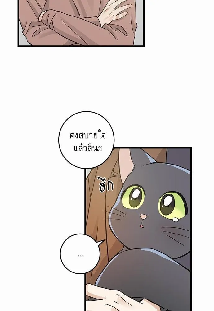 My One and Only Cat ตอนที่ 4660