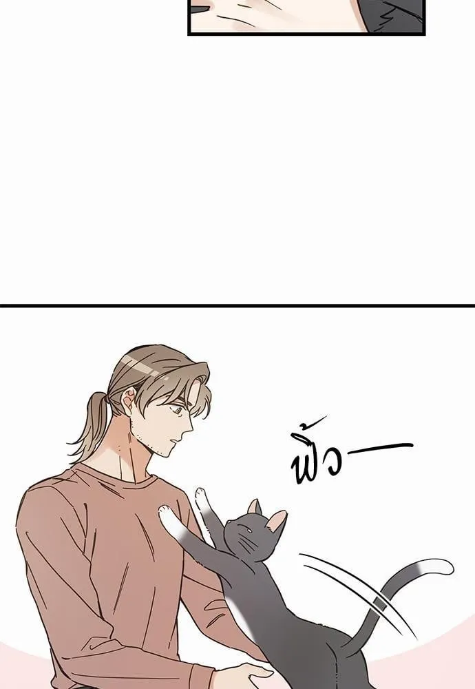 My One and Only Cat ตอนที่ 4661