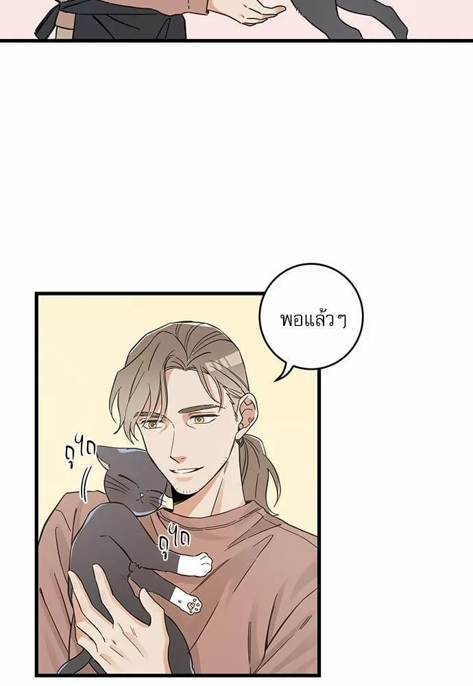 My One and Only Cat ตอนที่ 4662