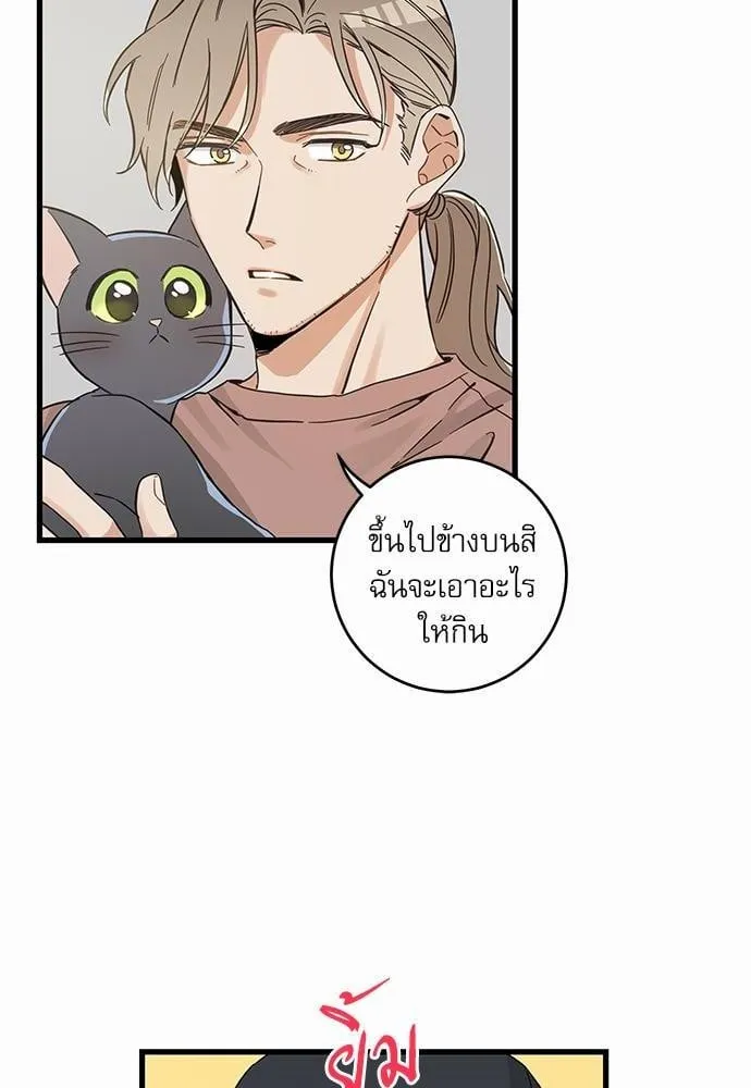 My One and Only Cat ตอนที่ 4664
