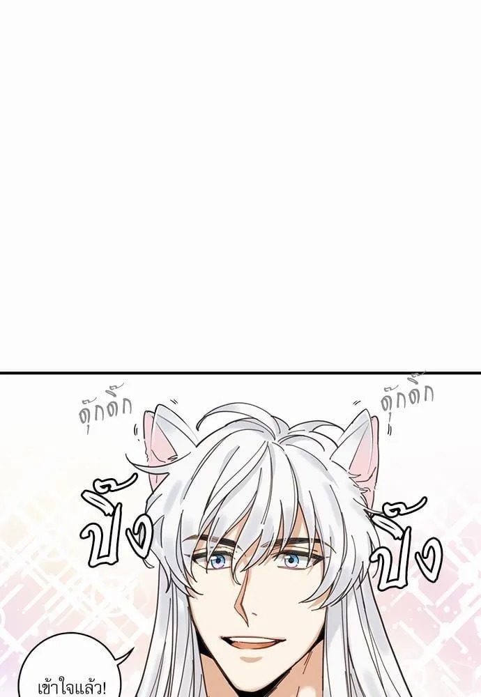 My One and Only Cat ตอนที่ 467 My One and Only Cat ตอนที่ 467