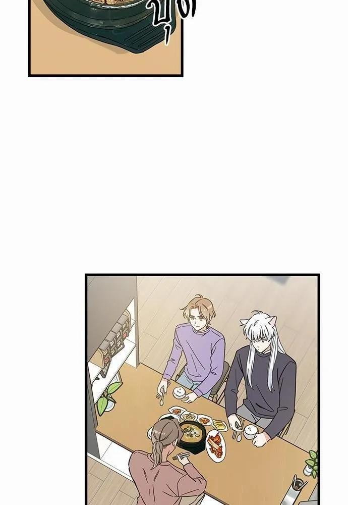 My One and Only Cat ตอนที่ 4702