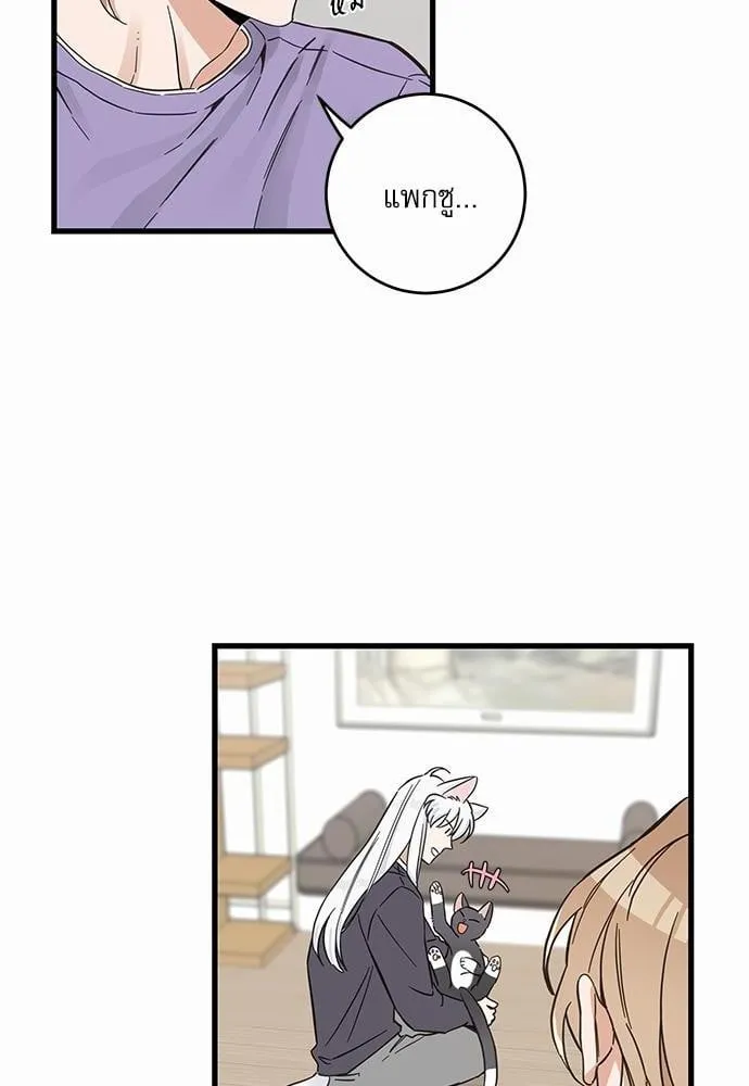 My One and Only Cat ตอนที่ 4712