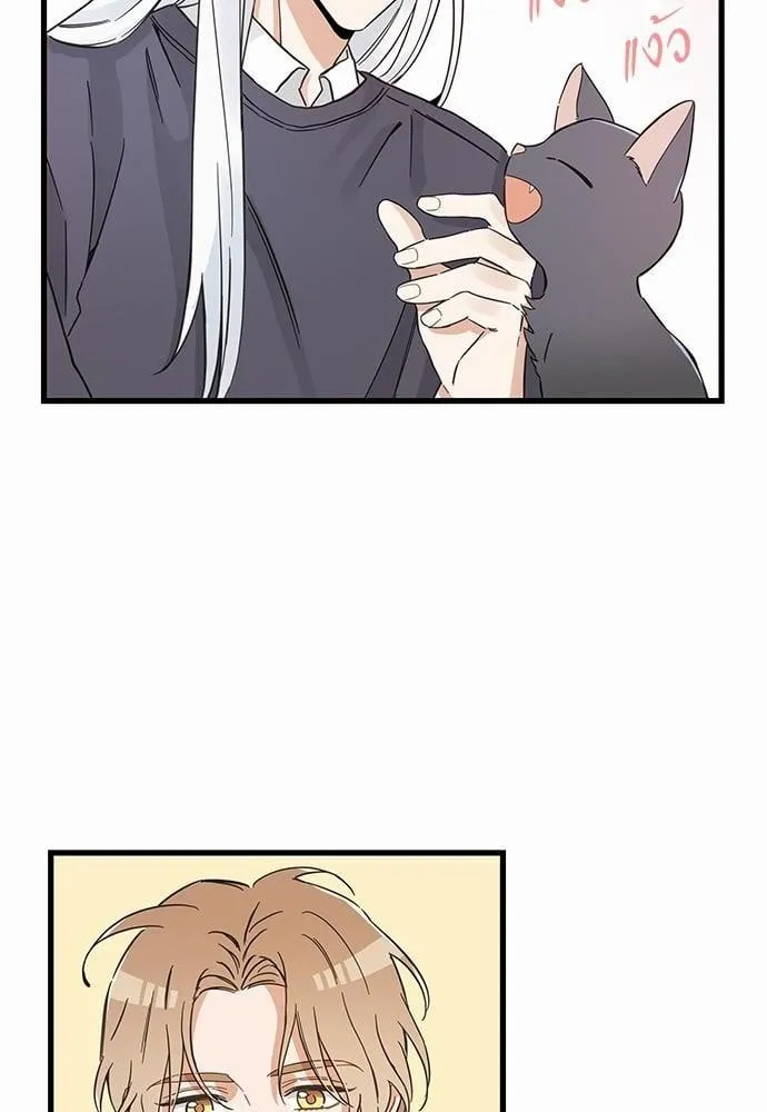 My One and Only Cat ตอนที่ 4714