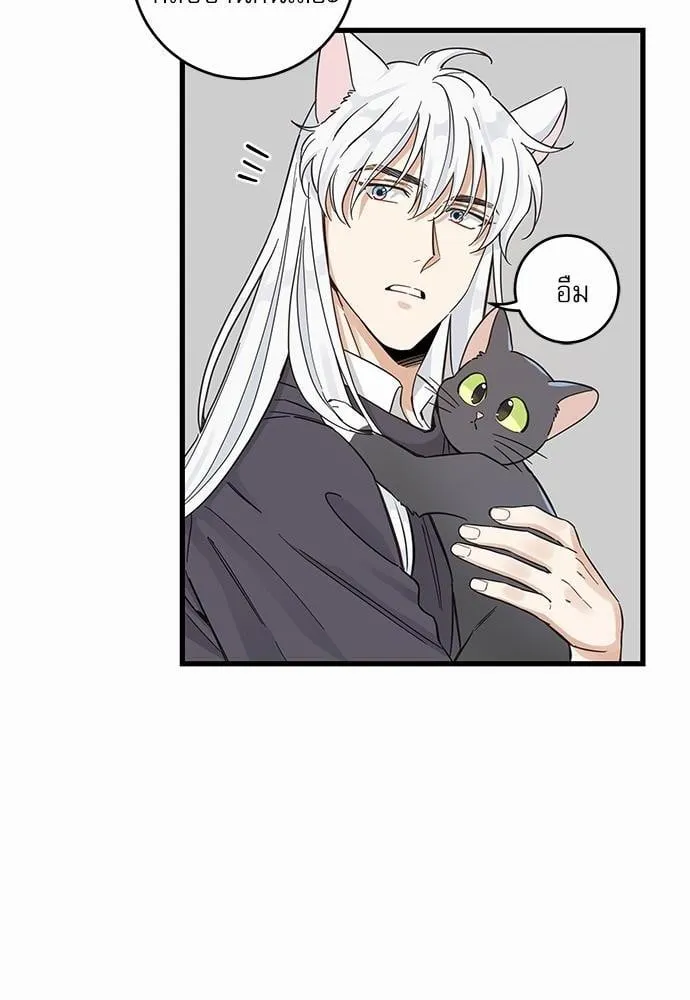 My One and Only Cat ตอนที่ 4716