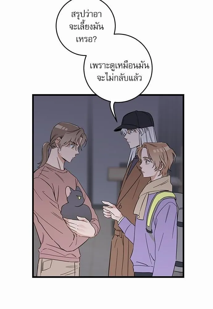 My One and Only Cat ตอนที่ 4722