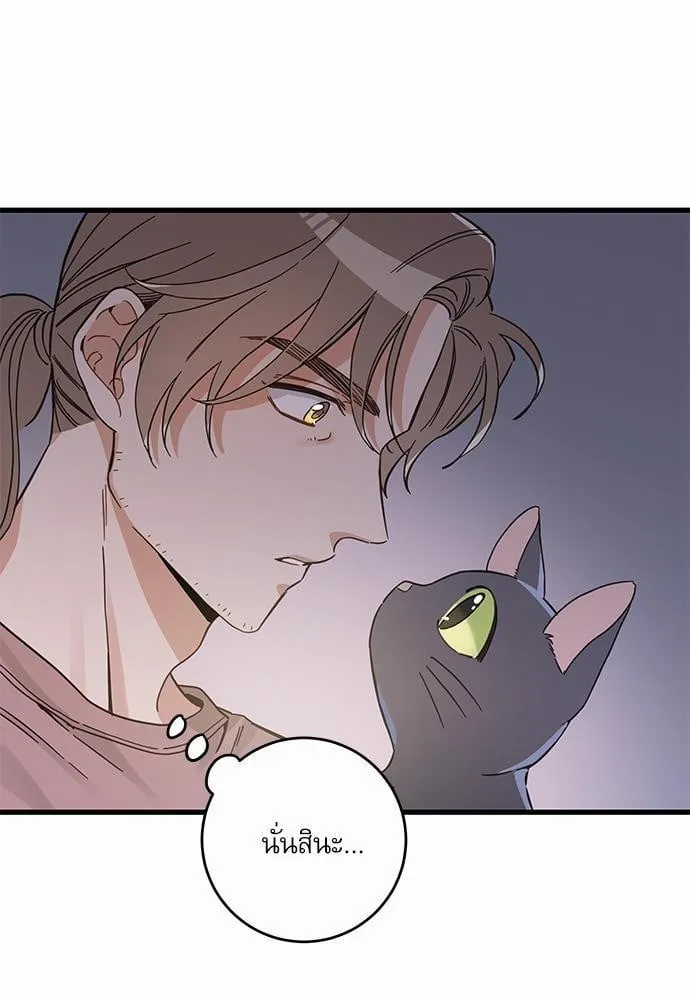 My One and Only Cat ตอนที่ 4723