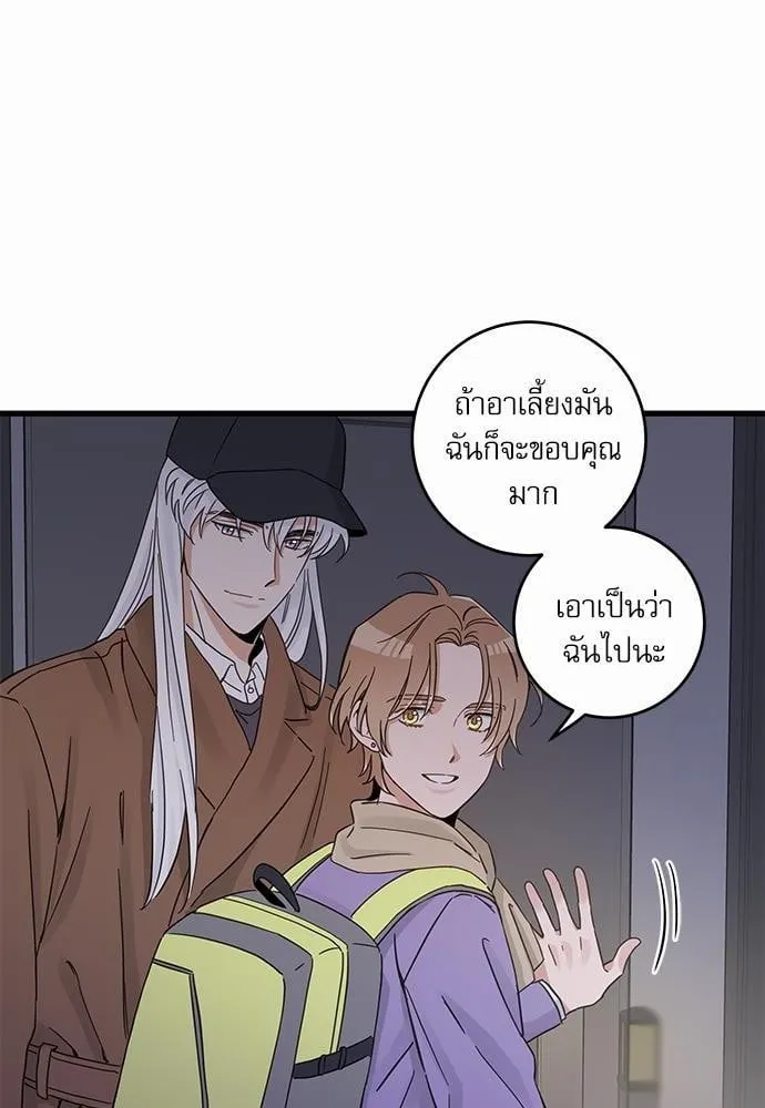 My One and Only Cat ตอนที่ 4724