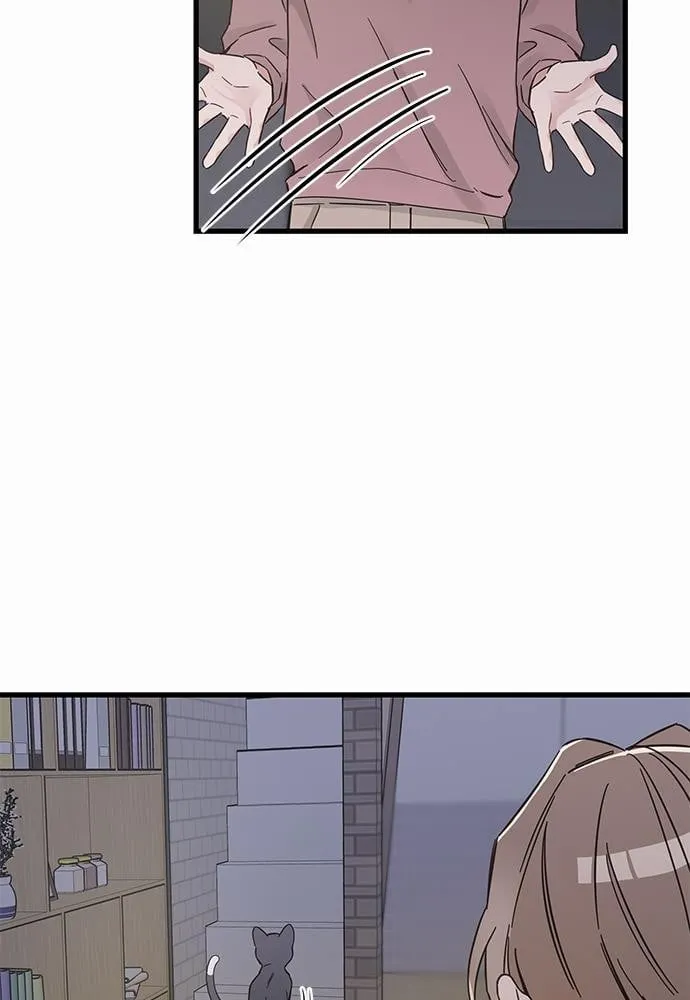 My One and Only Cat ตอนที่ 4727