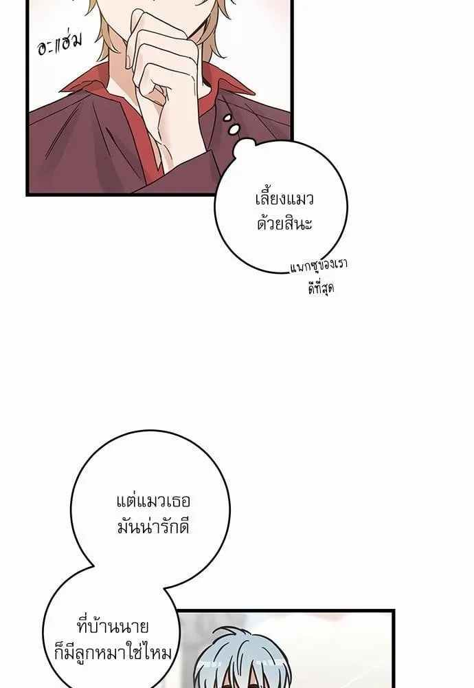 My One and Only Cat ตอนที่ 4737
