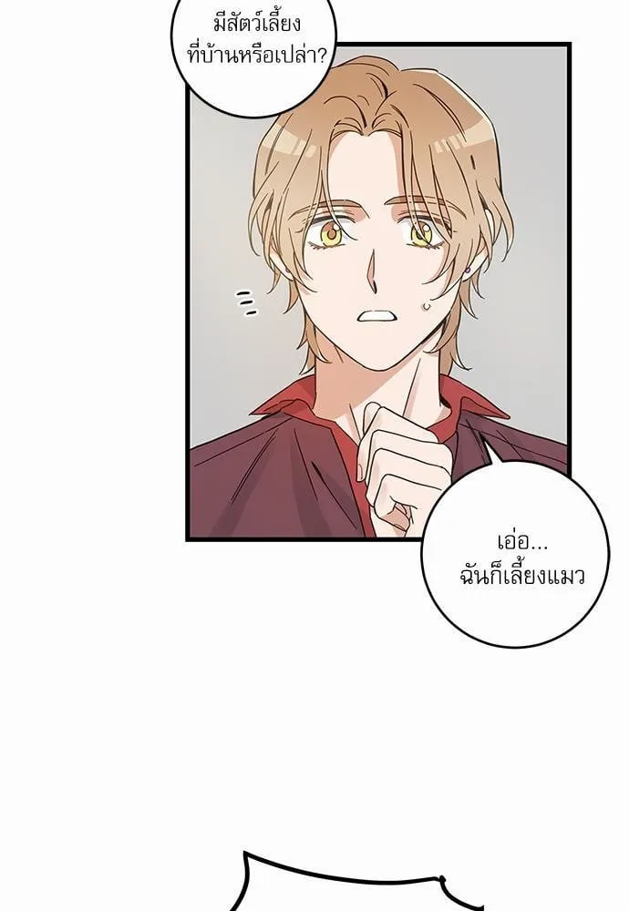 My One and Only Cat ตอนที่ 4739