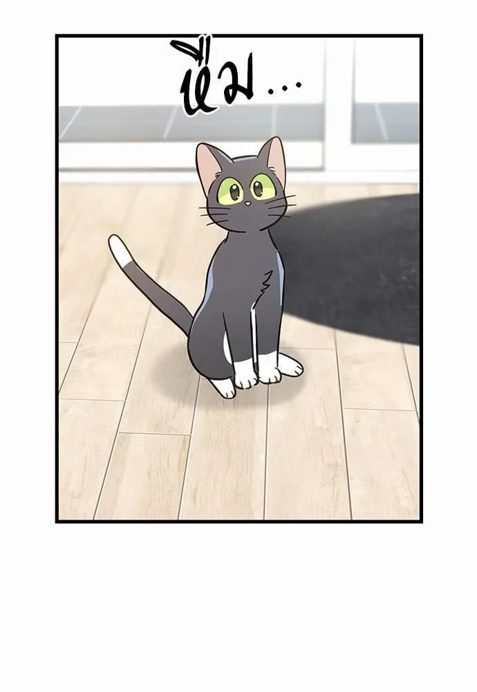 My One and Only Cat ตอนที่ 4748