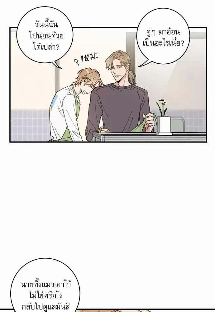 My One and Only Cat ตอนที่ 475 My One and Only Cat ตอนที่ 475