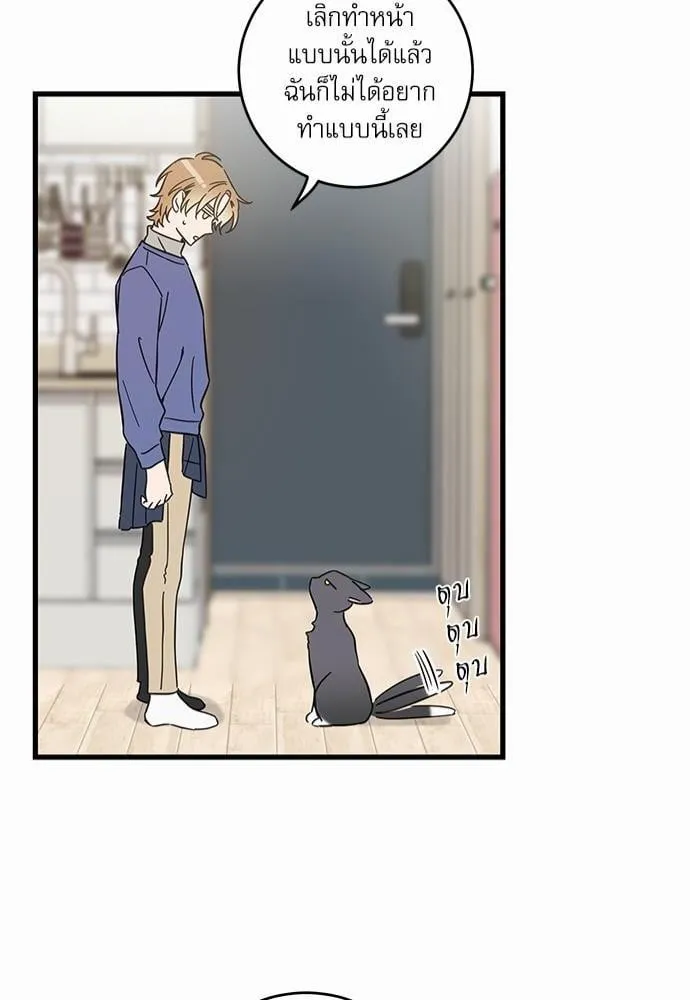 My One and Only Cat ตอนที่ 4750