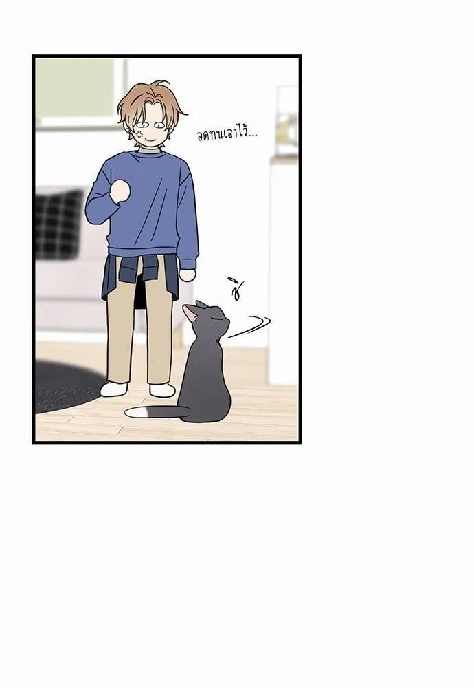 My One and Only Cat ตอนที่ 4752