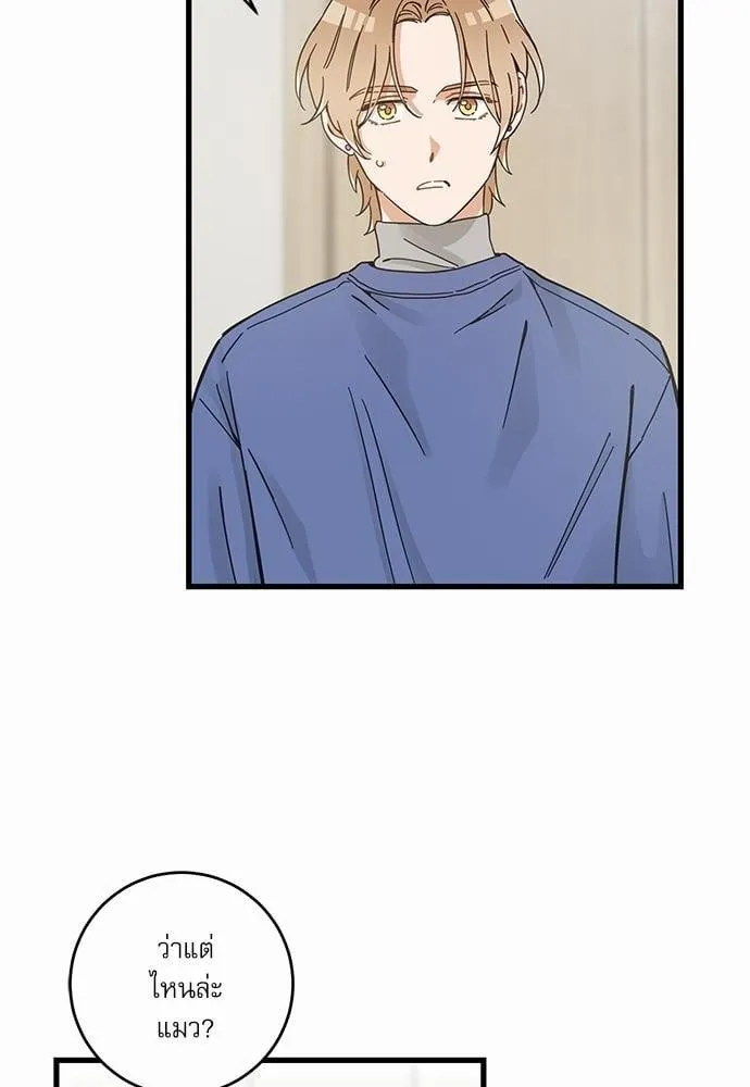 My One and Only Cat ตอนที่ 4760