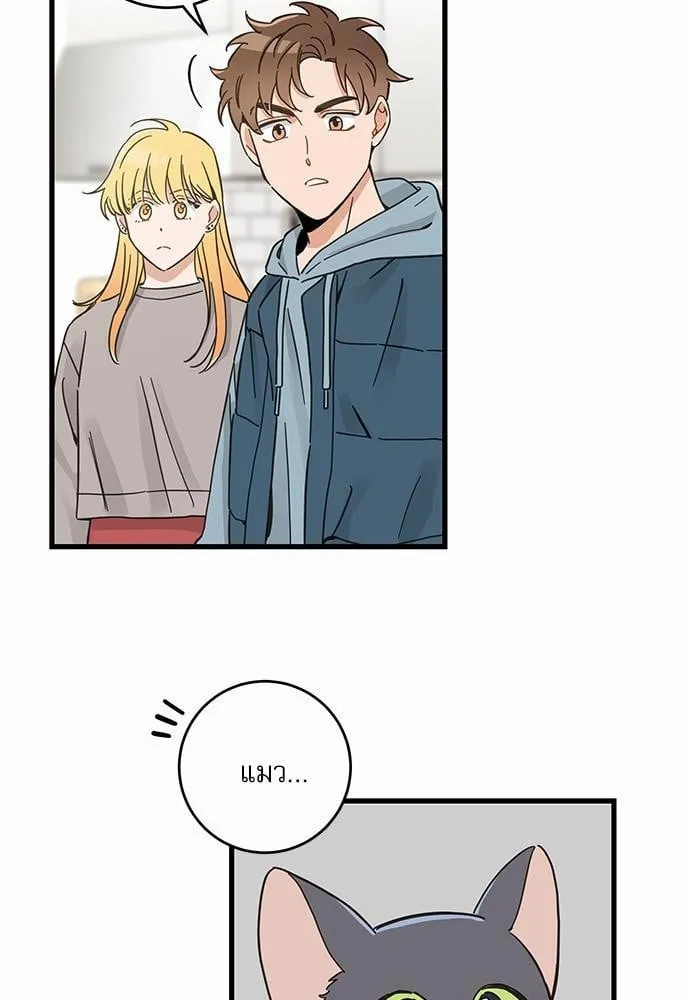 My One and Only Cat ตอนที่ 4761