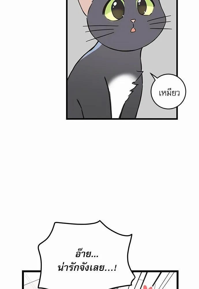 My One and Only Cat ตอนที่ 4762