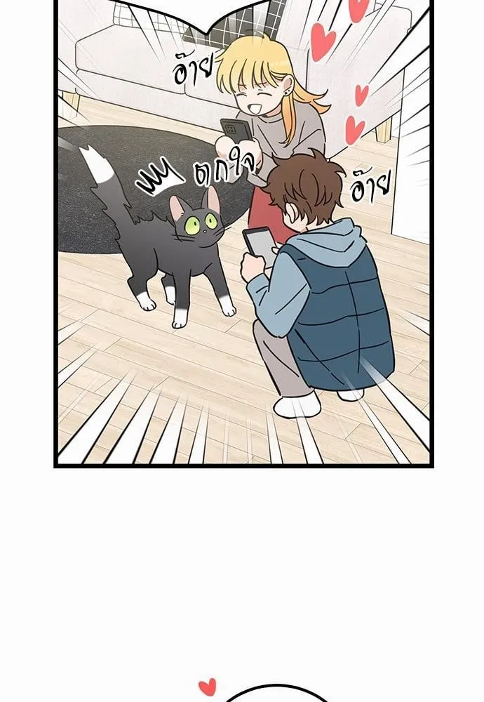 My One and Only Cat ตอนที่ 4763