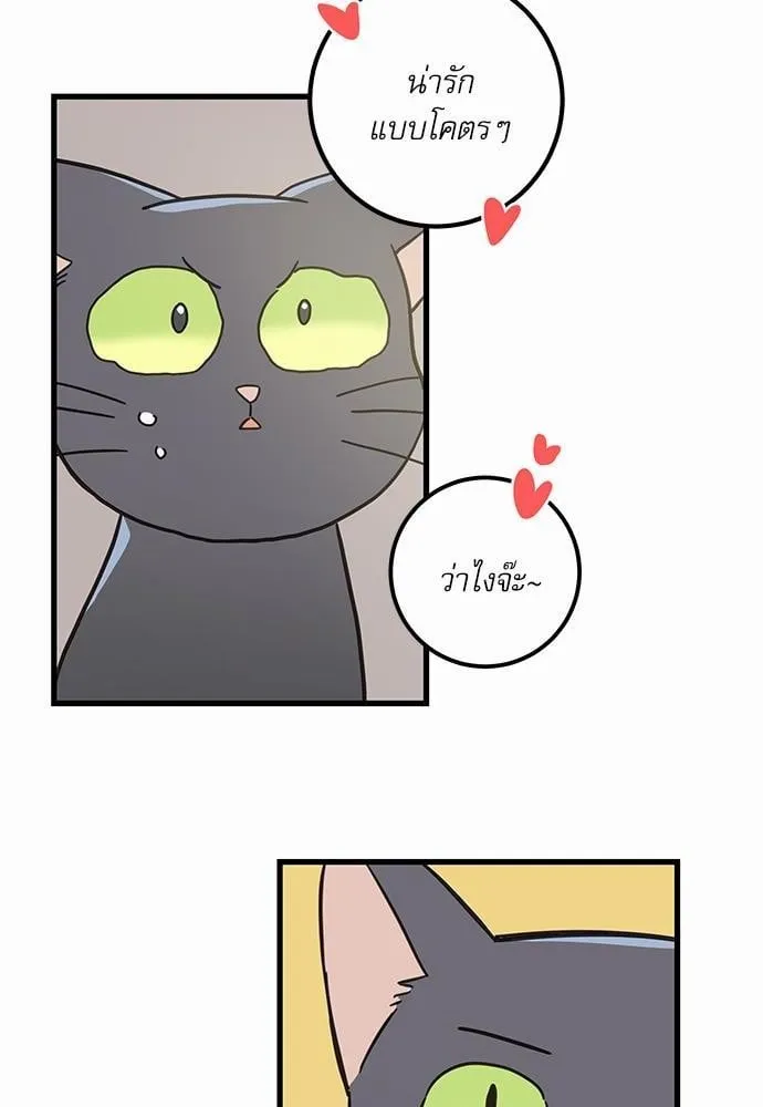 My One and Only Cat ตอนที่ 4764