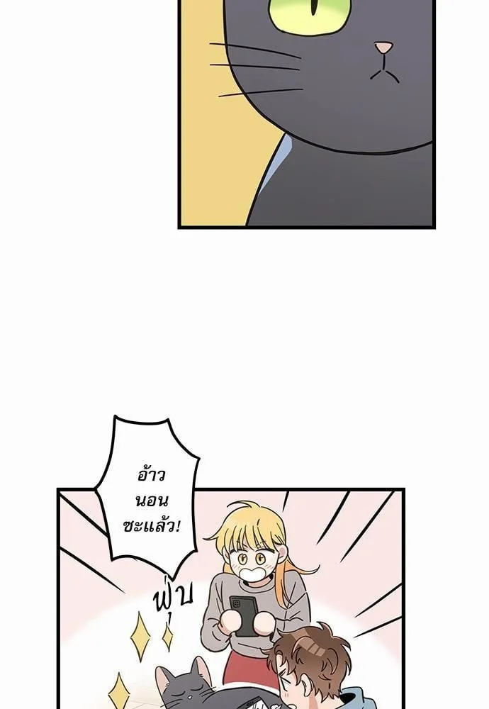 My One and Only Cat ตอนที่ 4765