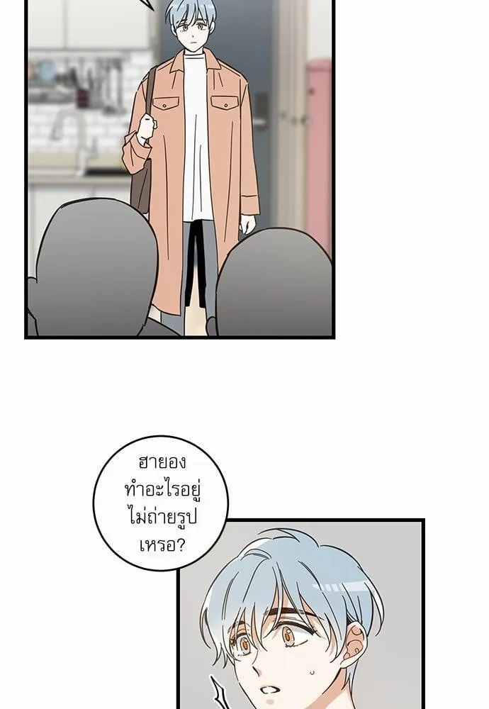 My One and Only Cat ตอนที่ 4767