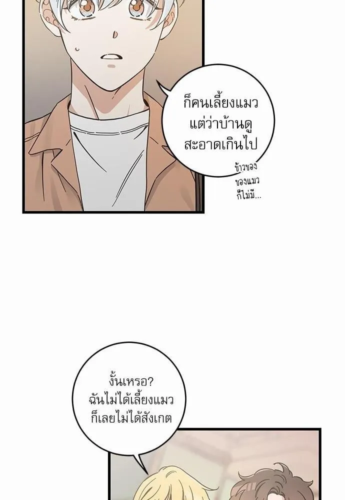 My One and Only Cat ตอนที่ 4804