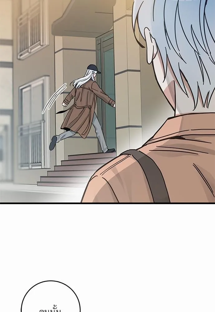 My One and Only Cat ตอนที่ 4809