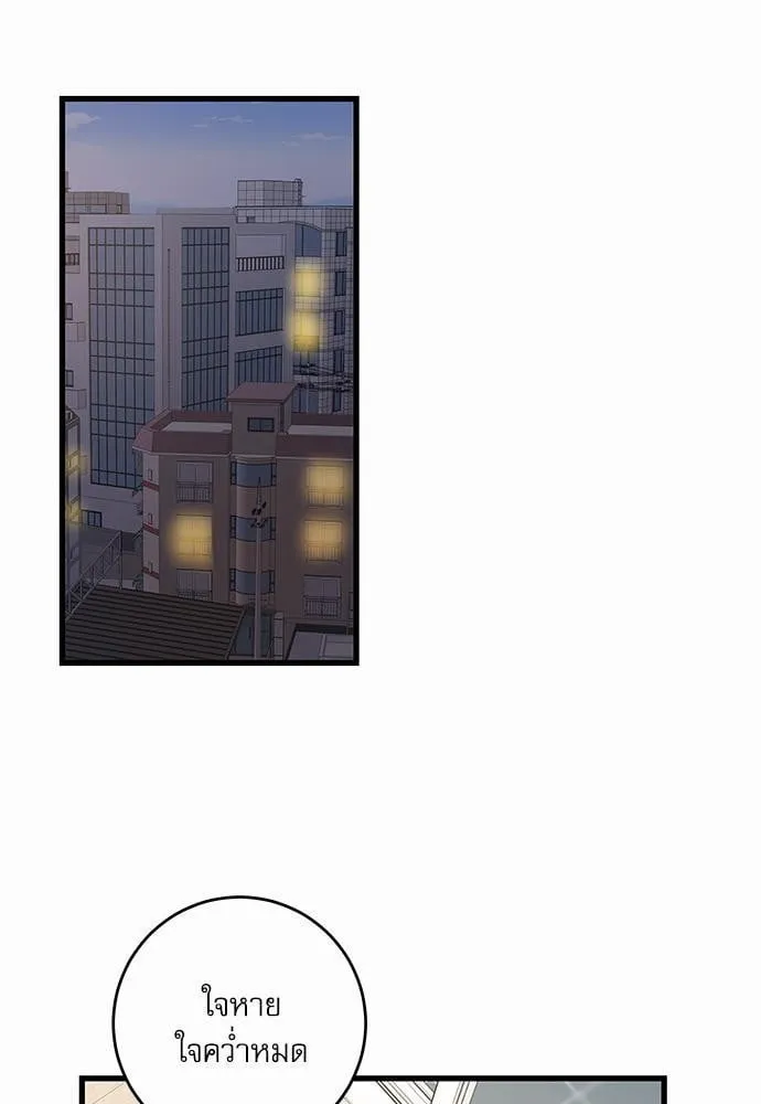 My One and Only Cat ตอนที่ 4813