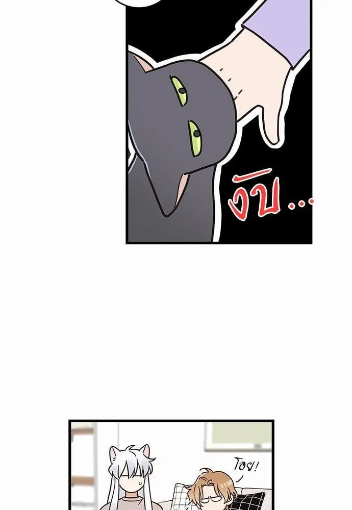 My One and Only Cat ตอนที่ 4815