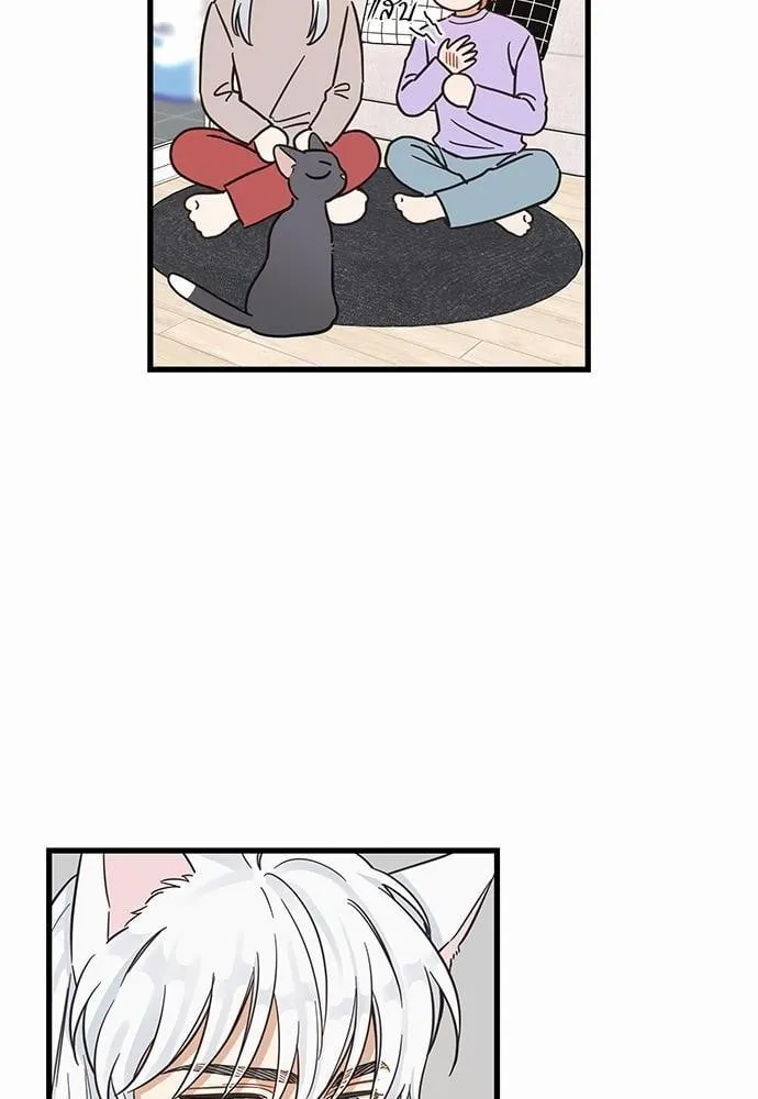 My One and Only Cat ตอนที่ 4816