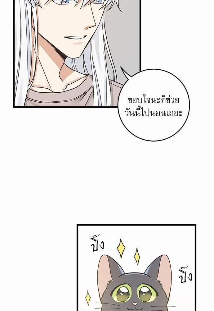 My One and Only Cat ตอนที่ 4817
