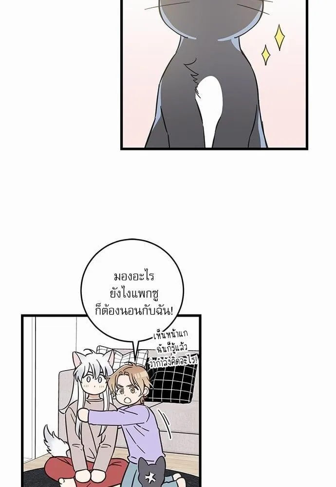 My One and Only Cat ตอนที่ 4818