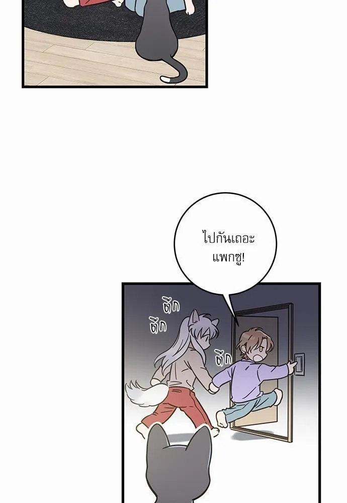 My One and Only Cat ตอนที่ 4819