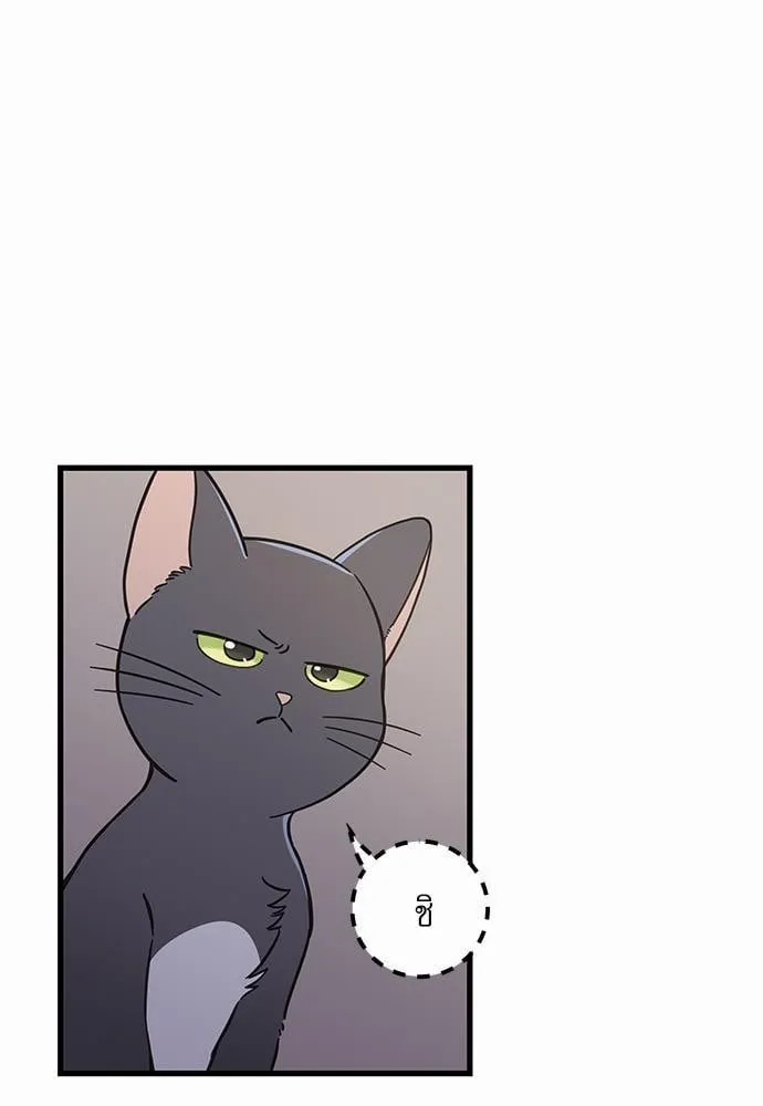 My One and Only Cat ตอนที่ 4821