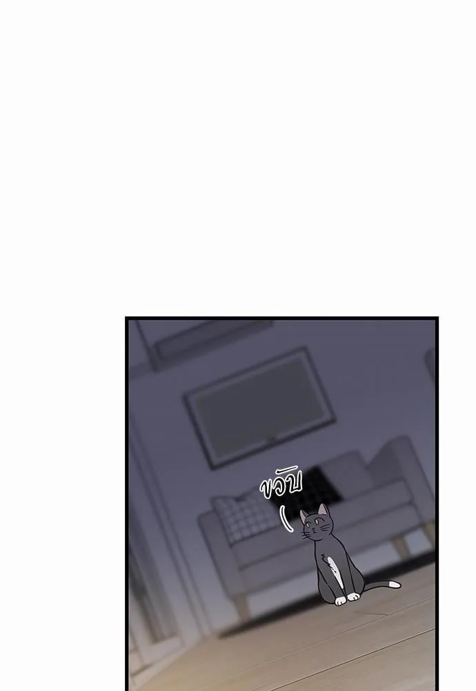 My One and Only Cat ตอนที่ 4822