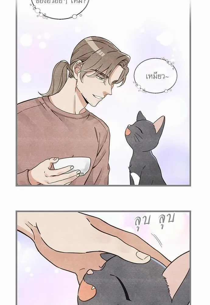 My One and Only Cat ตอนที่ 4826