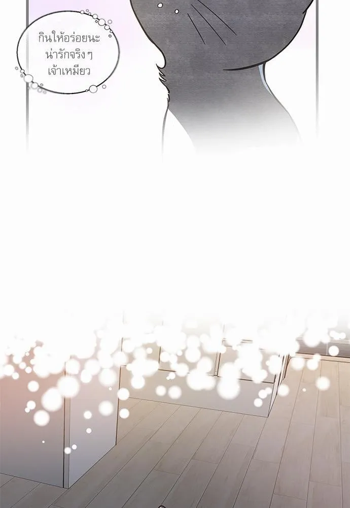 My One and Only Cat ตอนที่ 4827