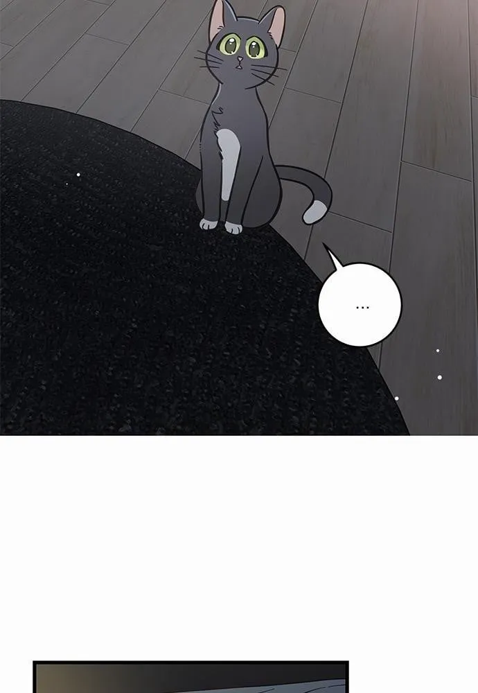 My One and Only Cat ตอนที่ 4828