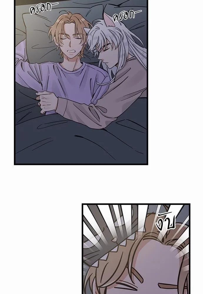 My One and Only Cat ตอนที่ 4829