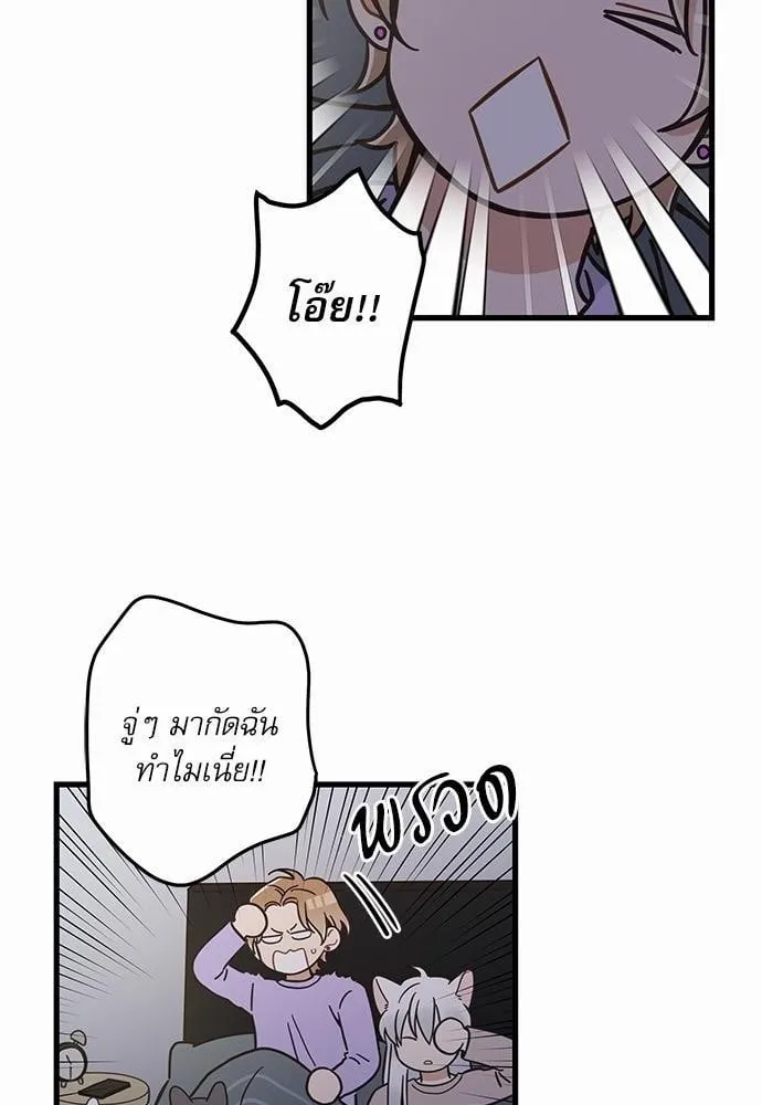 My One and Only Cat ตอนที่ 4830