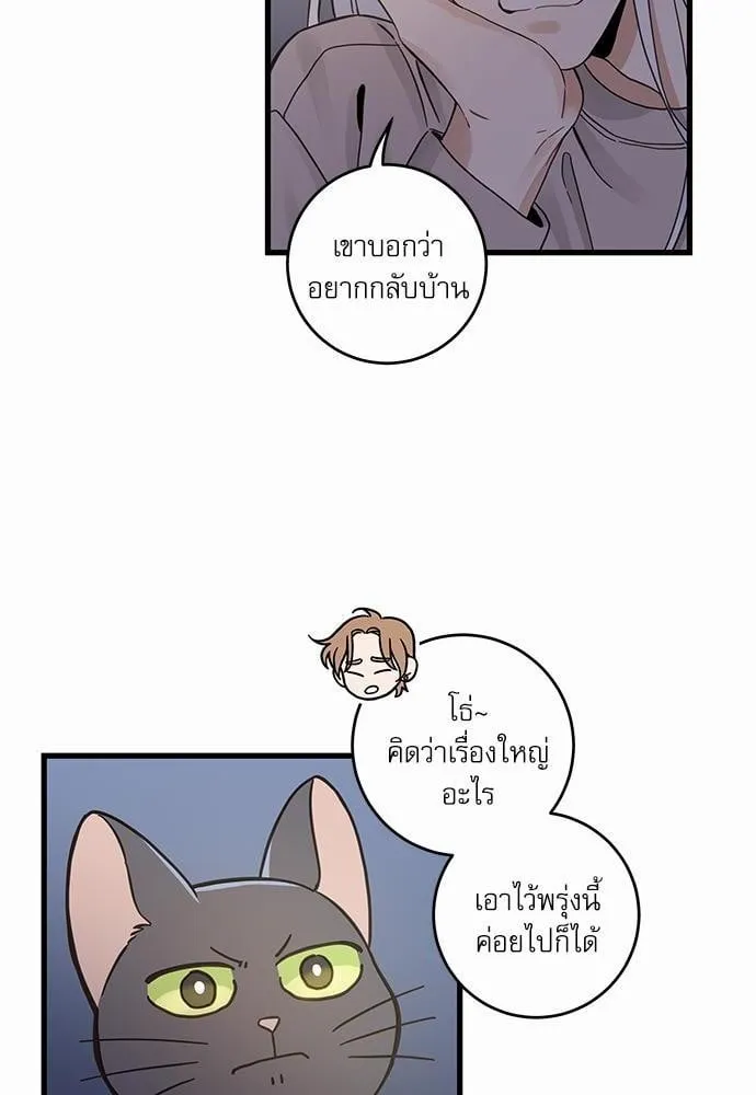 My One and Only Cat ตอนที่ 4832