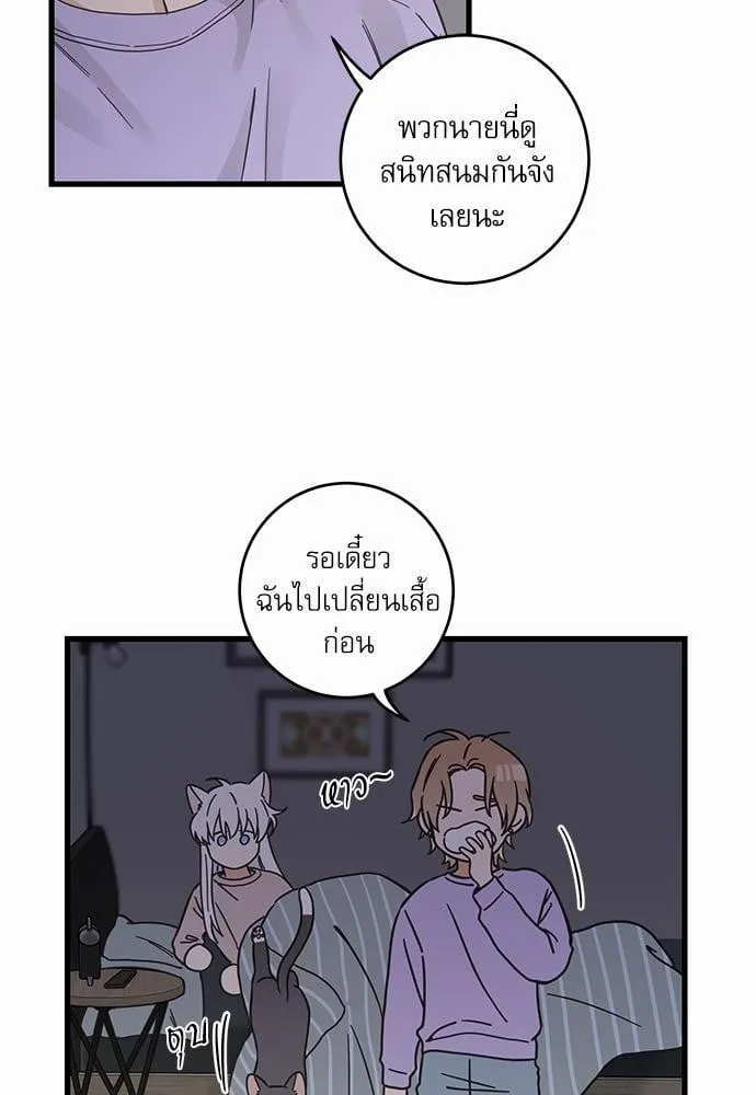 My One and Only Cat ตอนที่ 4836