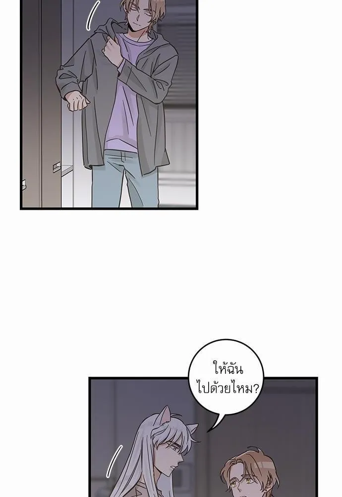 My One and Only Cat ตอนที่ 4838