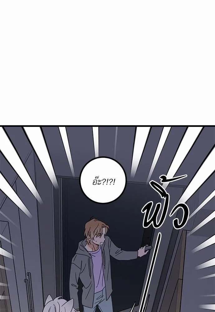 My One and Only Cat ตอนที่ 4841