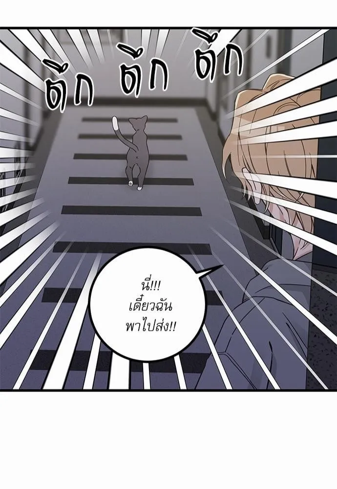 My One and Only Cat ตอนที่ 4843