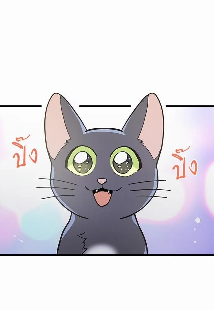 My One and Only Cat ตอนที่ 4858