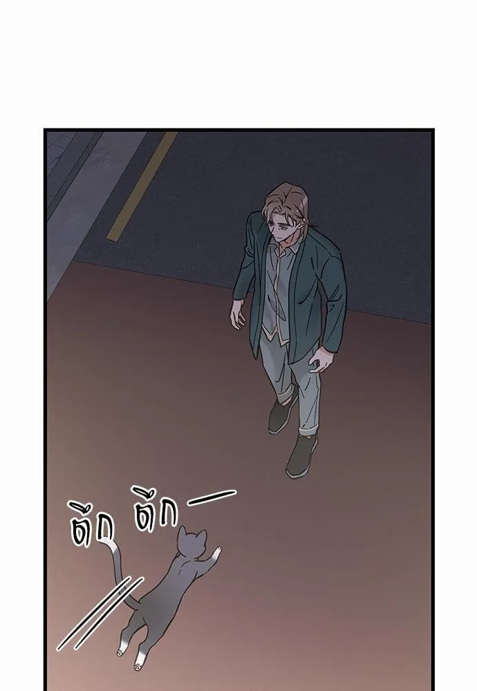 My One and Only Cat ตอนที่ 4859