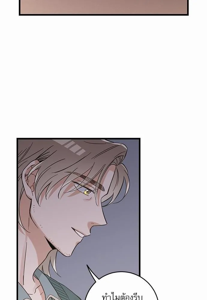 My One and Only Cat ตอนที่ 4860