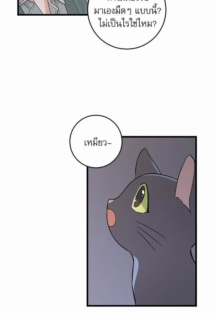 My One and Only Cat ตอนที่ 4861